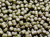 

Насадочный Dumbells Carp Tasty Food 75гр 14*10 GLM (green lipped mussel)