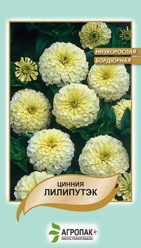 

Семена Цинния Лилипутэк белая низкорослая бордюрная 0,2 г W.Legutko 5176, Белый