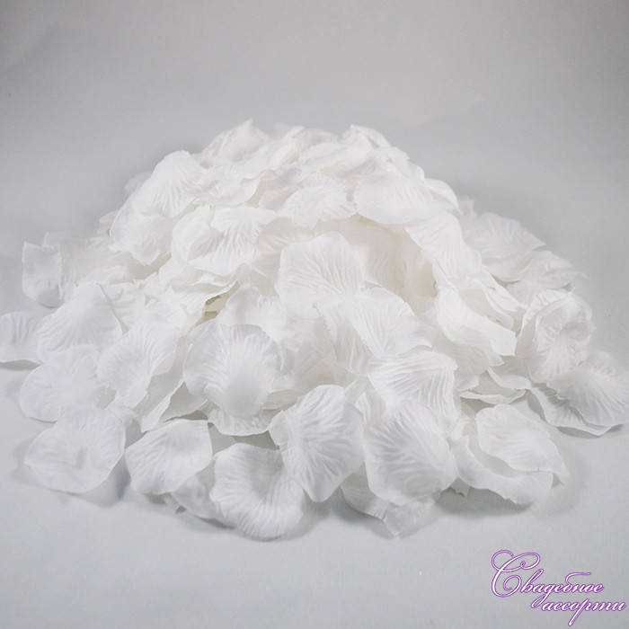 

Лепестки роз белого цвета, Белый