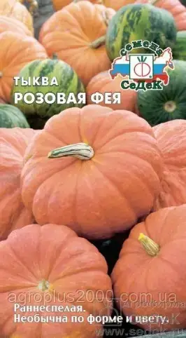 

Семена Тыква Розовая Фея 1 грамм Седек