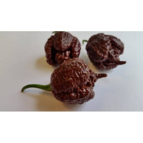 

Сухой стручок Каролинский Жнец самый острый перец