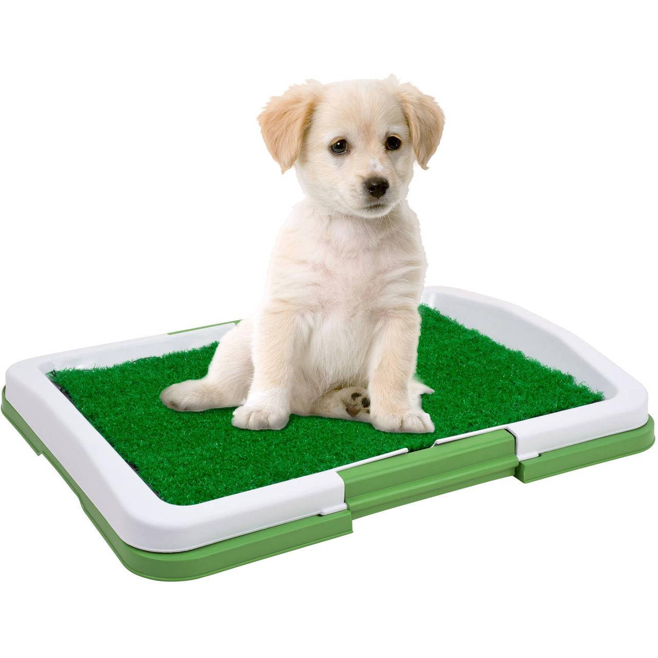 

Туалет для собак NBZ Puppy Potty Pad 47х34х6 см Green