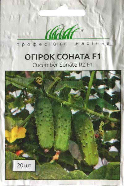 

Семена огурцов Соната F1 20 шт. пчелоопыляемый Rijk Zwaan