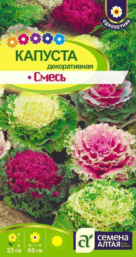 

Капуста декоративная смесь (Семена Алтая) 0,1 г