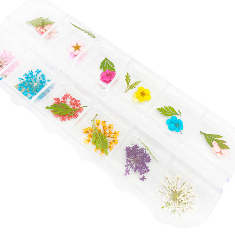 

Набор разноцветных сухоцветов в контейнере 12 яцеек, Разные цвета