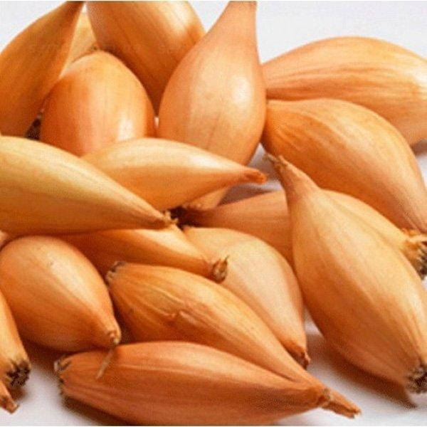 

Лук севок Бамбергер (Bamberger) 0,5кг (TOP Onionsets Nederland)