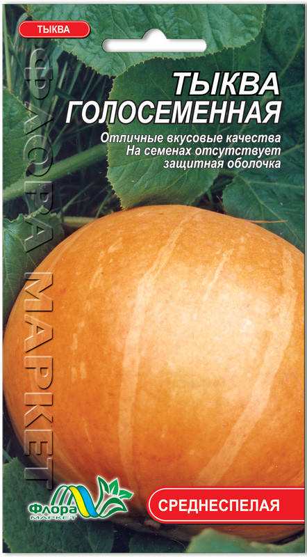 

Семена тыква Голосеменная Флора маркет