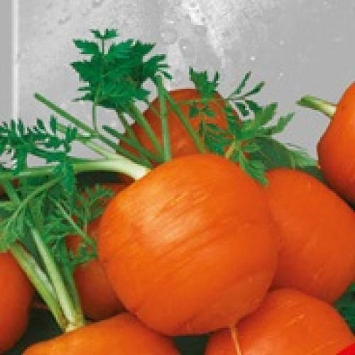 

Морковь Париж 50 семян