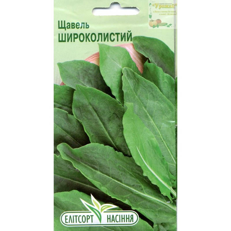 

Семена щавель Широколистный, 2 г