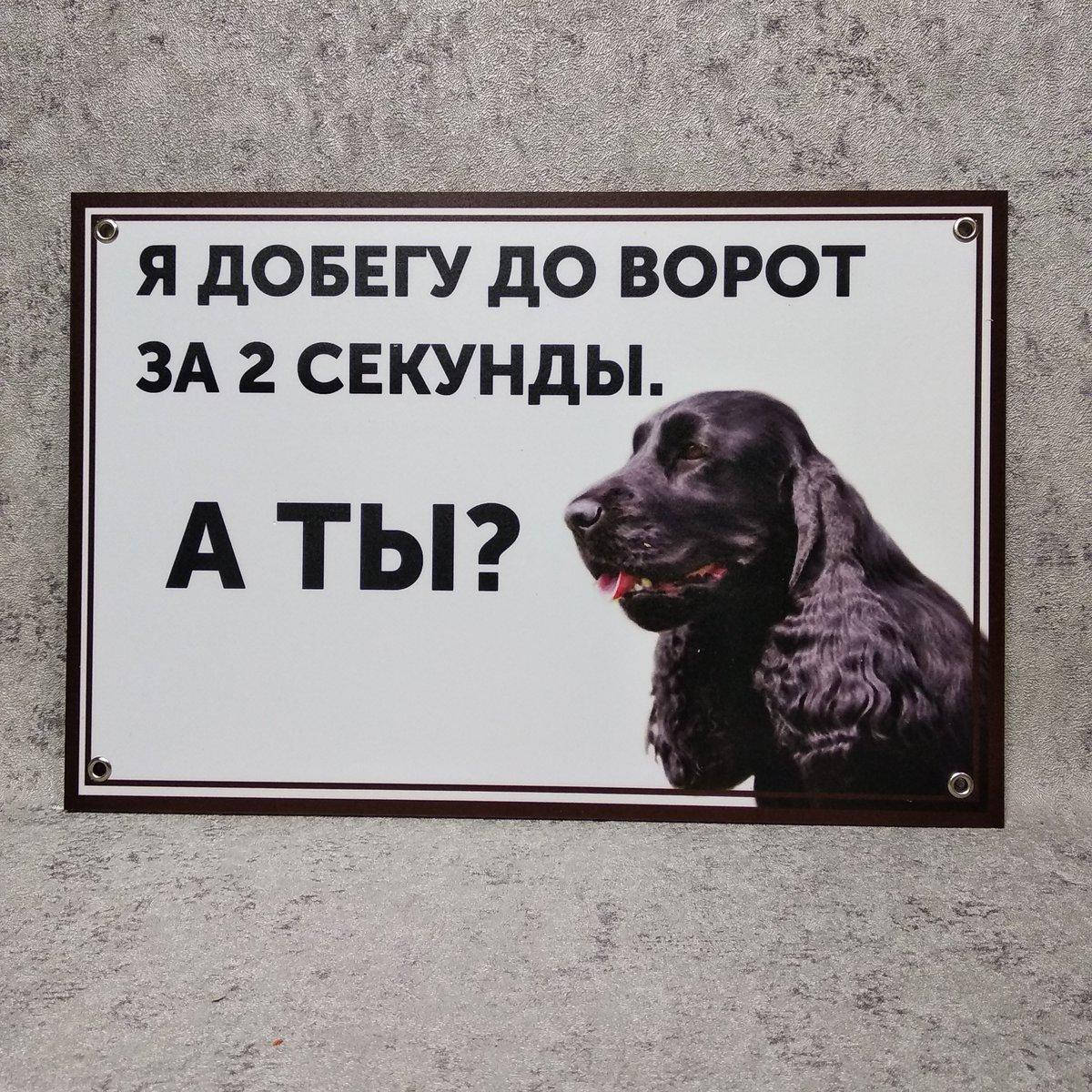 

Табличка Я добегу до ворот за 2 секунды, а ты