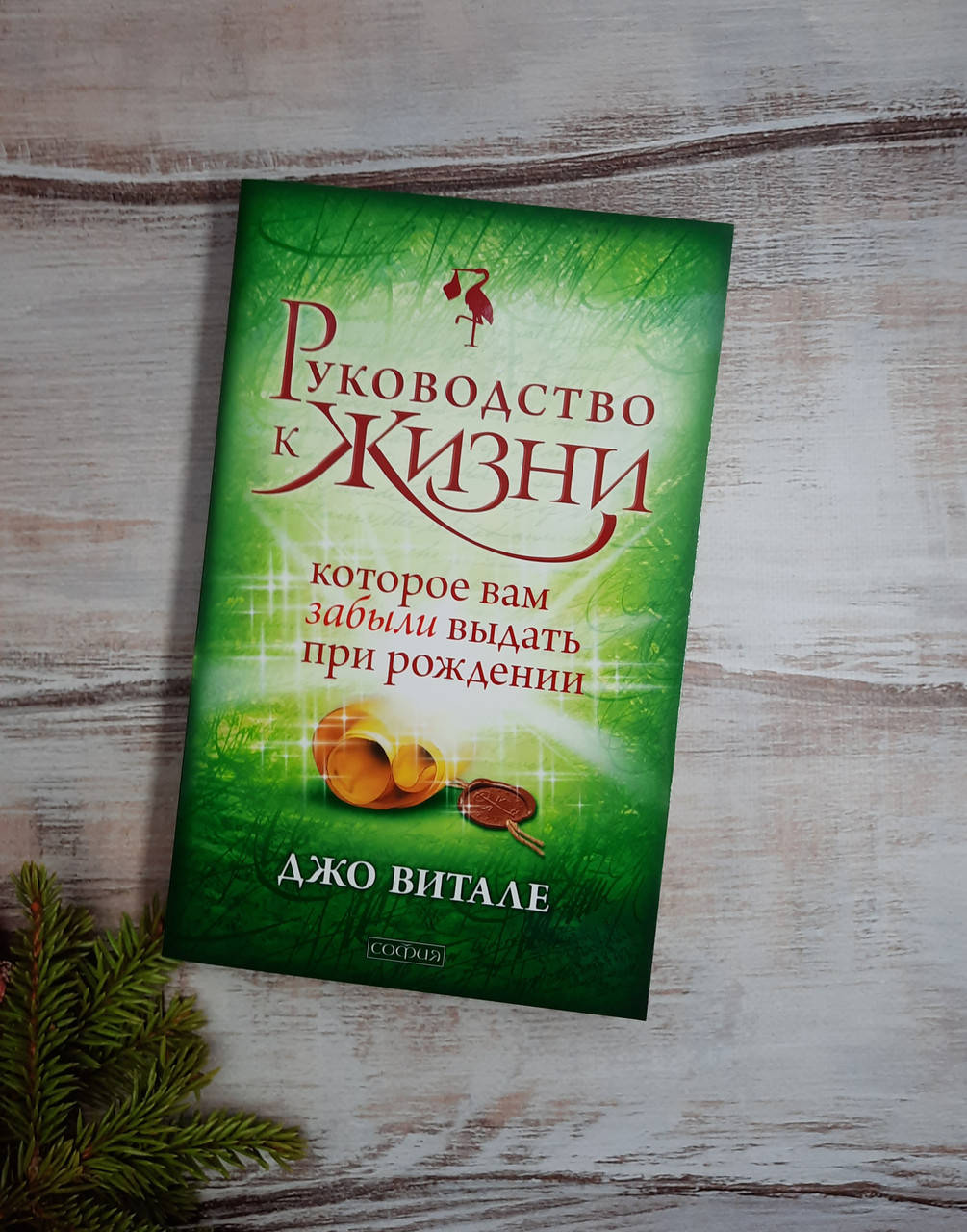 

Витале Руководство к жизни, которое вам забыли выдать при рождении