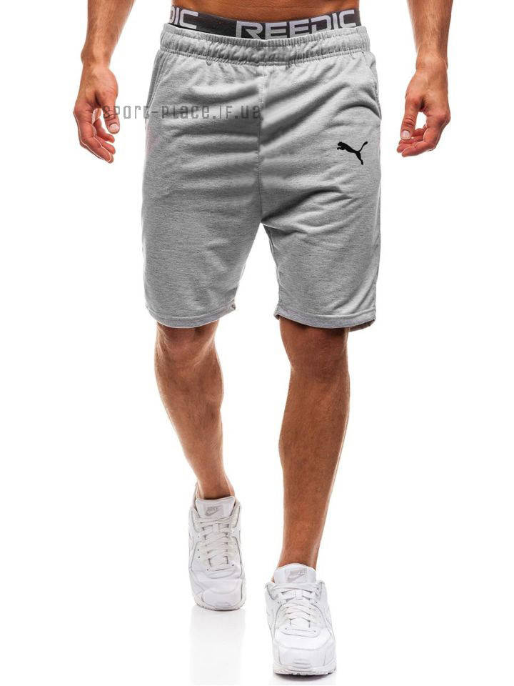 

Мужские шорты Puma (Пума) светло серые M, 48, Светло-серый