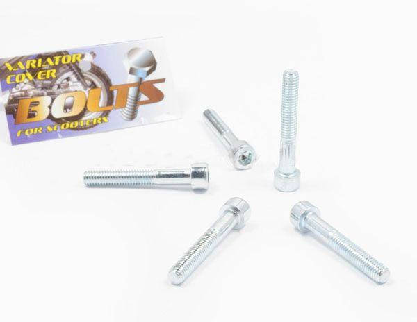 

Болты крышки вариатора Honda TACT 16/24/30 (шестигранный шлиц, 5шт)