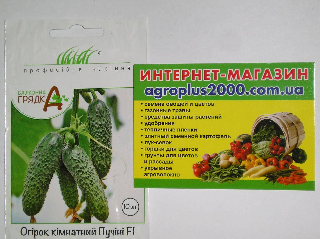 

Семена Огурец комнатный самоопыляющийся Пучини F1, 10 семян Rijk Zwaan