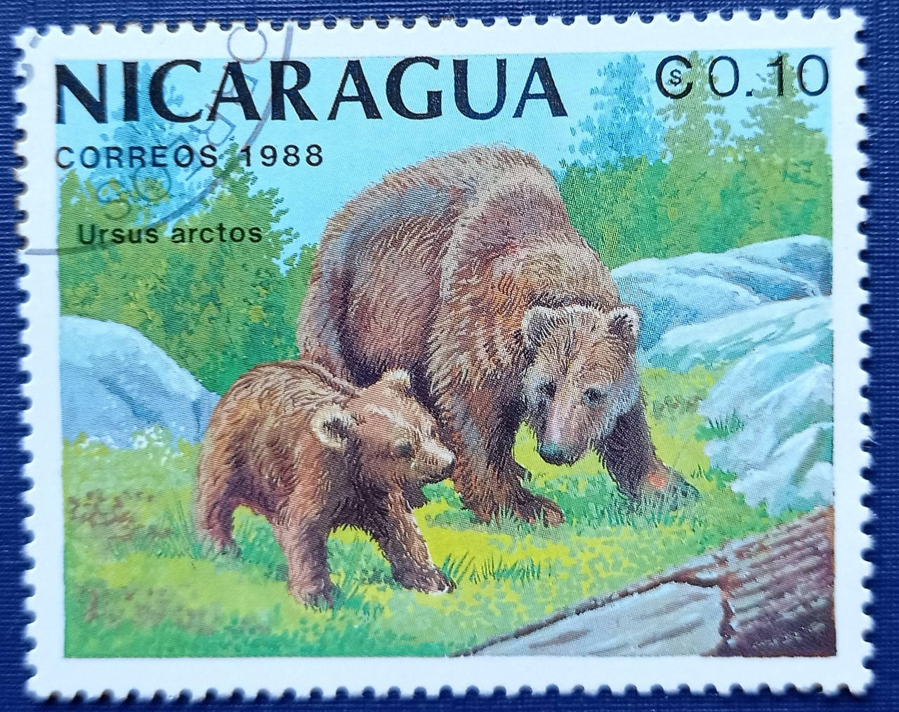 

Марка Никарагуа 1988 фауна медведь гаш