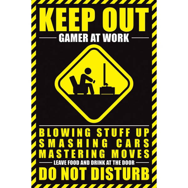 

Постер "Gamer At Work" 61 x 91,5 cм