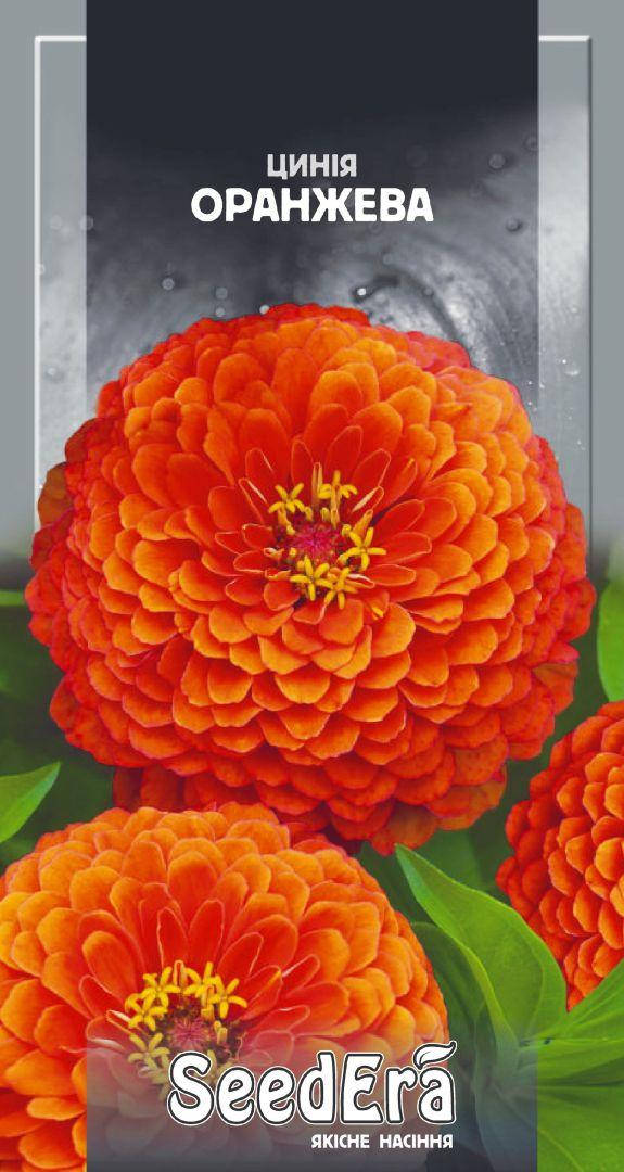 

Семена цветов Циния (Майори) Высокорослая элегантная оранжевая, 0,5г, Seedera