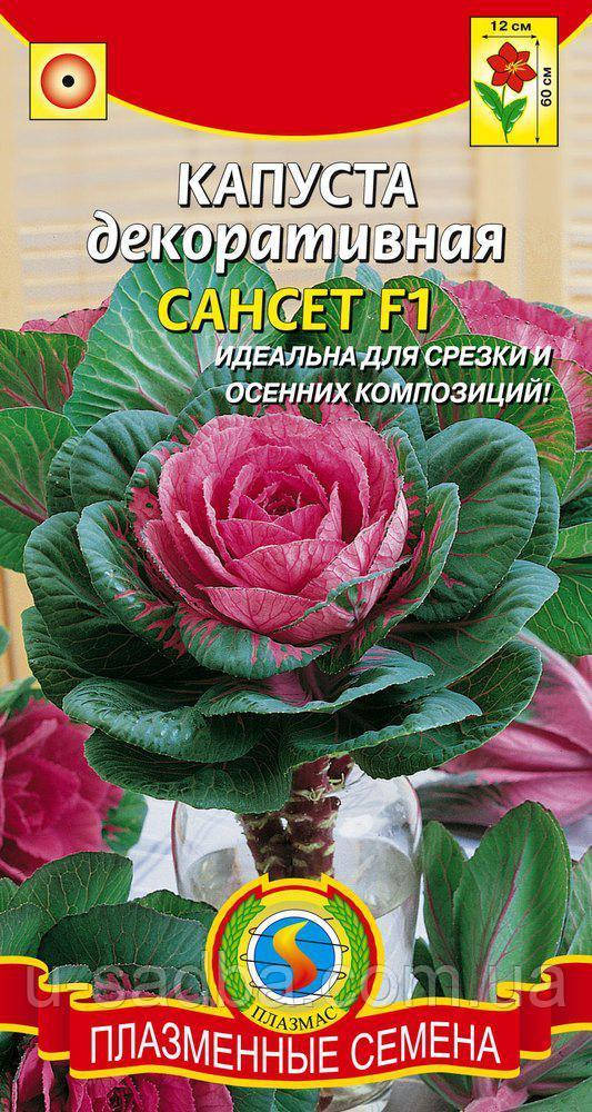 

Капуста декоративная Сансет F1 10 шт (Плазменные семена)
