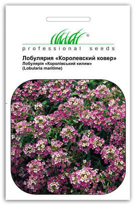 

Семена цветов Лобулярия Королевский ковер смесь 0,3 г, Hem Zaden, Фиолетовый