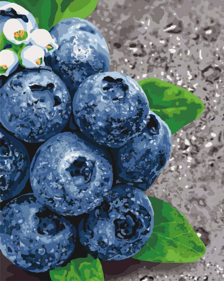 

Картина по номерам 40x50 Сочные плоды (КНО5581)