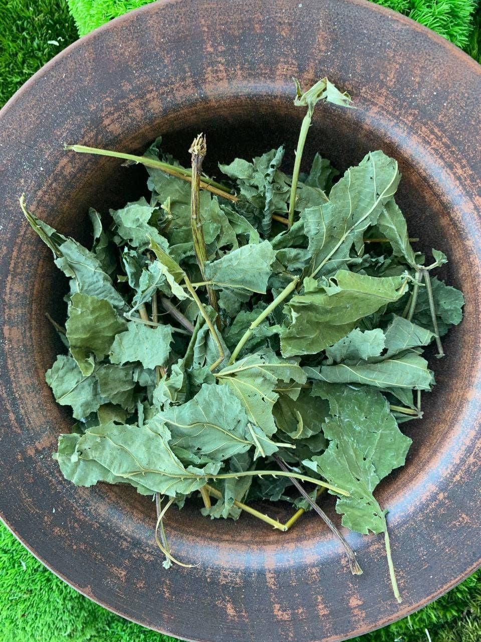 

Ежевика листья 1кг Rubus