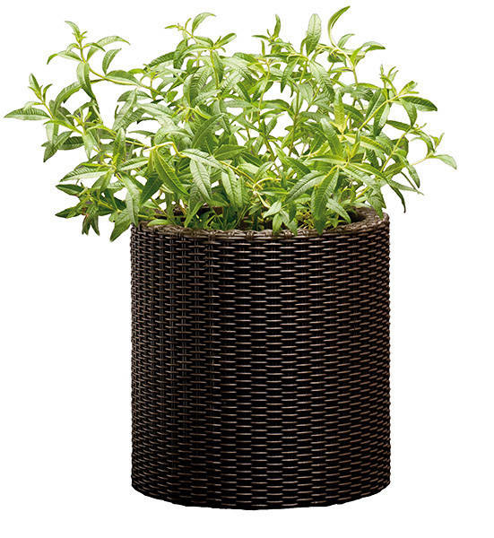 

Горшок для цветов 7 л. Cylinder Planter Small, коричневый