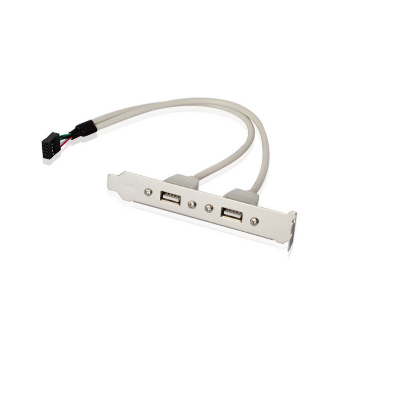 

Планка корпусна USB2.0 Ax2-PinHeader (планка) Lucom 0.20m Slot Bracket(62.09.8056p)