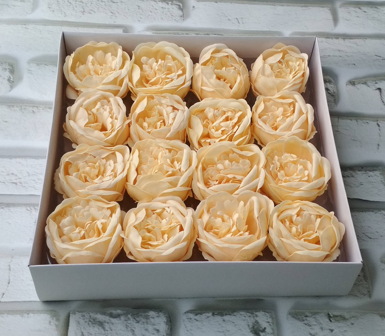 

Пион кремовый