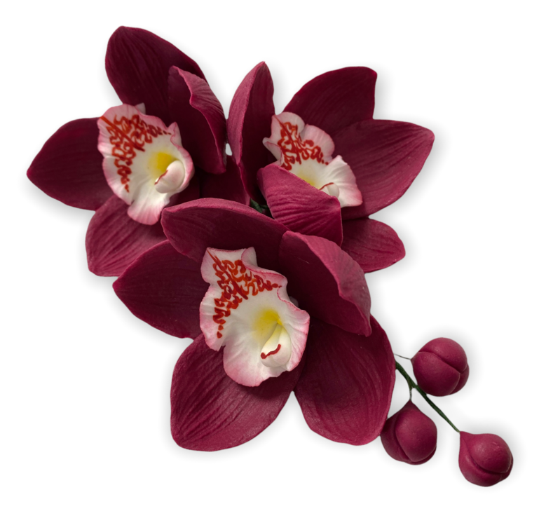 

Цукрова прикраса для кондитерських виробів Гілочка орхідеї Бордовий