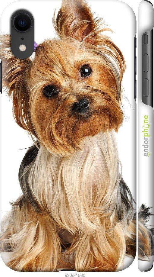 

Чехол на Apple iPhone XR Йоркширский терьер с хвостиком "930c-1560-18101", Коричневый