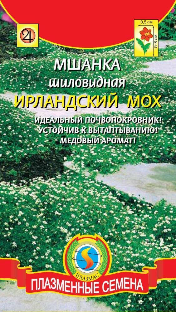

Мшанка шиловидная Ирландский мох 0,01 г (Плазменные семена)