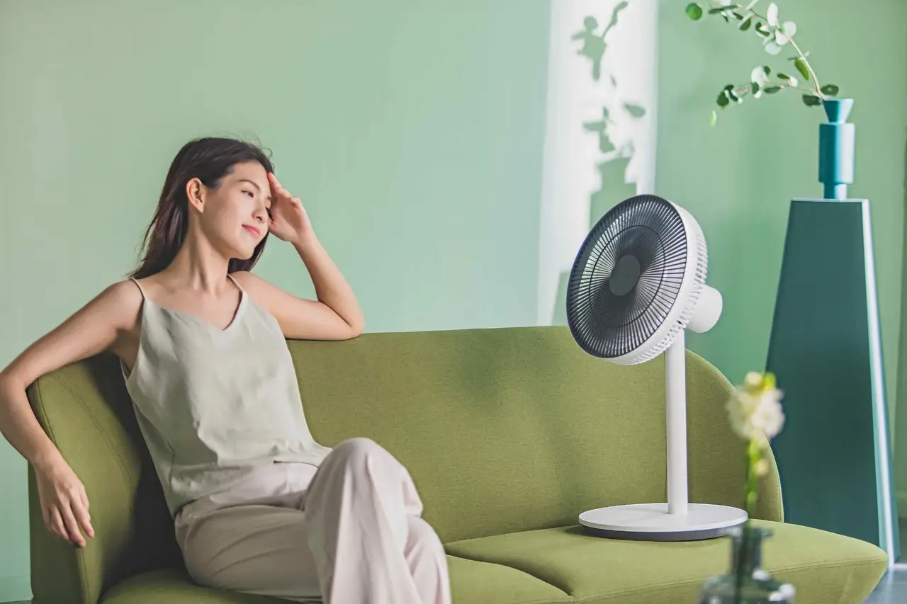 

Вентилятор Dream Maker Feel Fan (DM-FAN01-T)