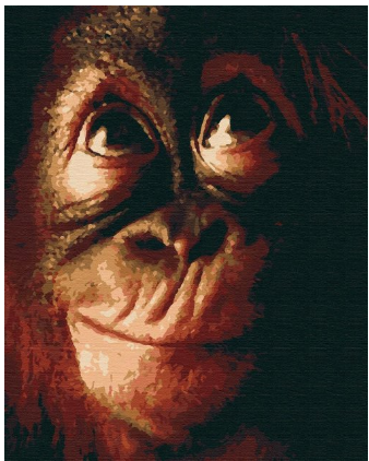 

Набір для розпису "Коко" ТМ "RIVIERA BLANCA", шт RB-0302