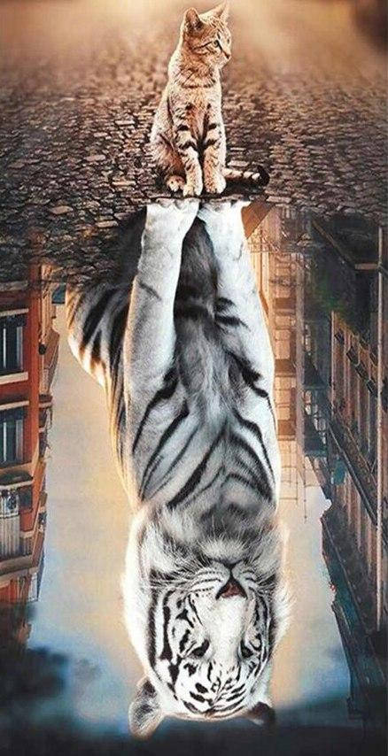 

Алмазная вышивка "Когда я вырасту и стану великаном",полная выкладка, ,мозаика 5d, наборы 85х45 см