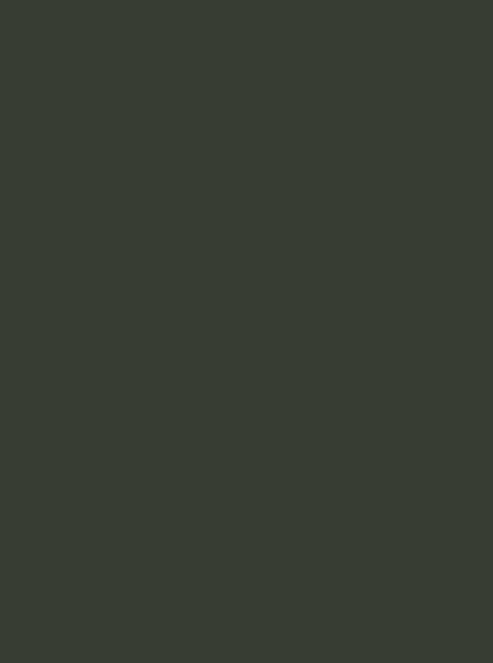 

Акриловая спрей-краска Bosny 26 Olive green (Оливковый зеленый), 400мл