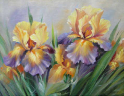 

Алмазная мозаика Жёлтые ирисы 30*40см без рамки 40*8*5см (H8390)