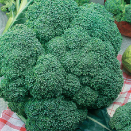 

Капуста брокколи, весовая, 10г
