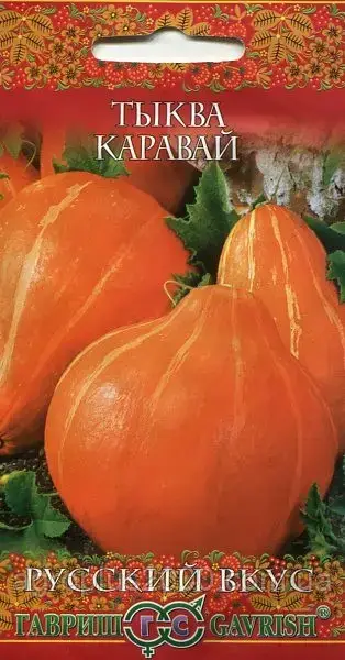 

Семена Тыква Каравай 2 грамма Гавриш