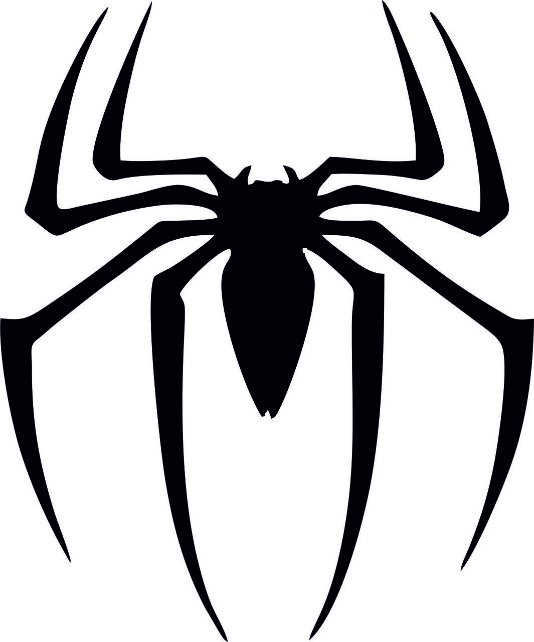 

Наклейка Паук черный