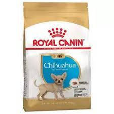 

Сухой корм Royal Canin Chihuahua Puppy 1.5 кг для щенков Чихуахуа до 8 месяцев
