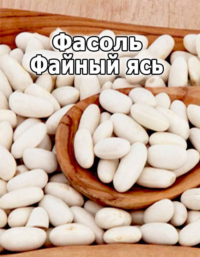 

Семена Фасоль зерновая Файный Ясь 1 кг