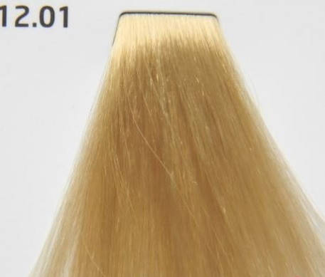 

Стойкая краска для волос № 12.01 - Ультрасветлый пепельный блондин Nouvelle Smart 60 мл