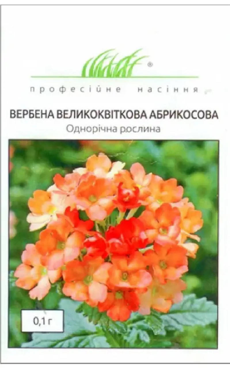 

Вербена великоквіткова абрикосова 0,1 гр Професійне насіння Нидерланды