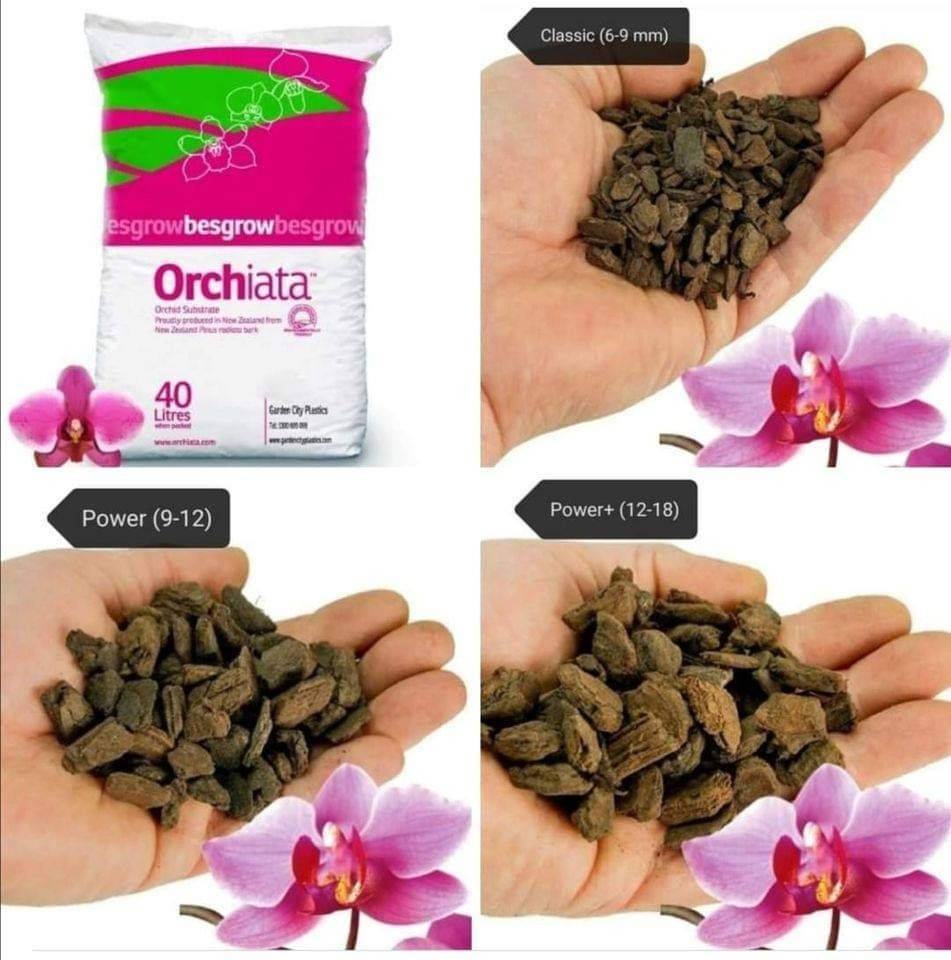 

Orchiata/Орхиата 1л ручная фасовка 18-25