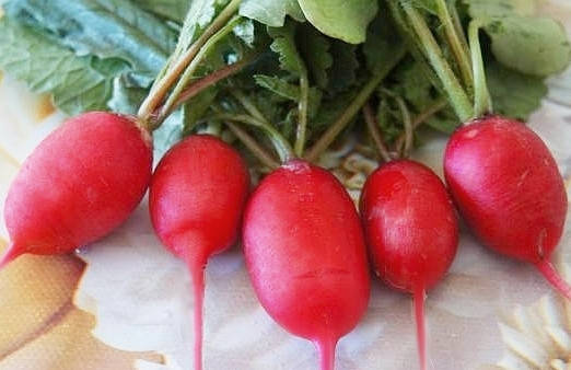 

Редиска сорт Ксенія, 3 г