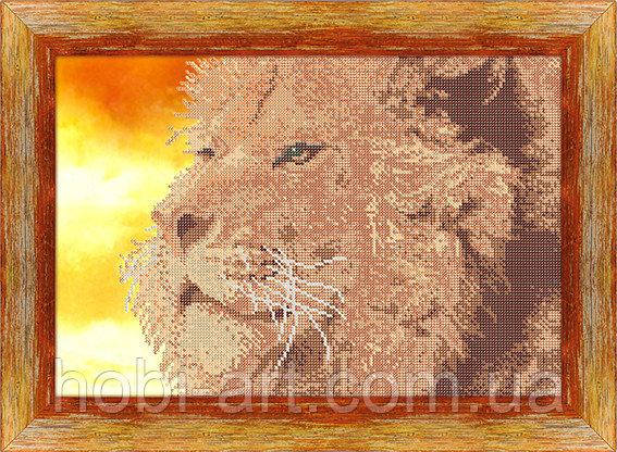 

Лев ЧК-А3-71 Атлас