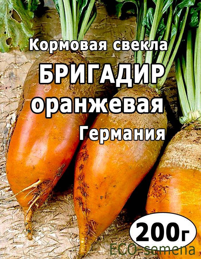 

Семена Свекла кормовая Бригадир (оранжевая) Германия / 200 г