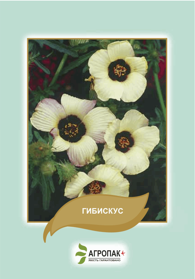 

Семена цветов Гибискус Агропак плюс, Желтый