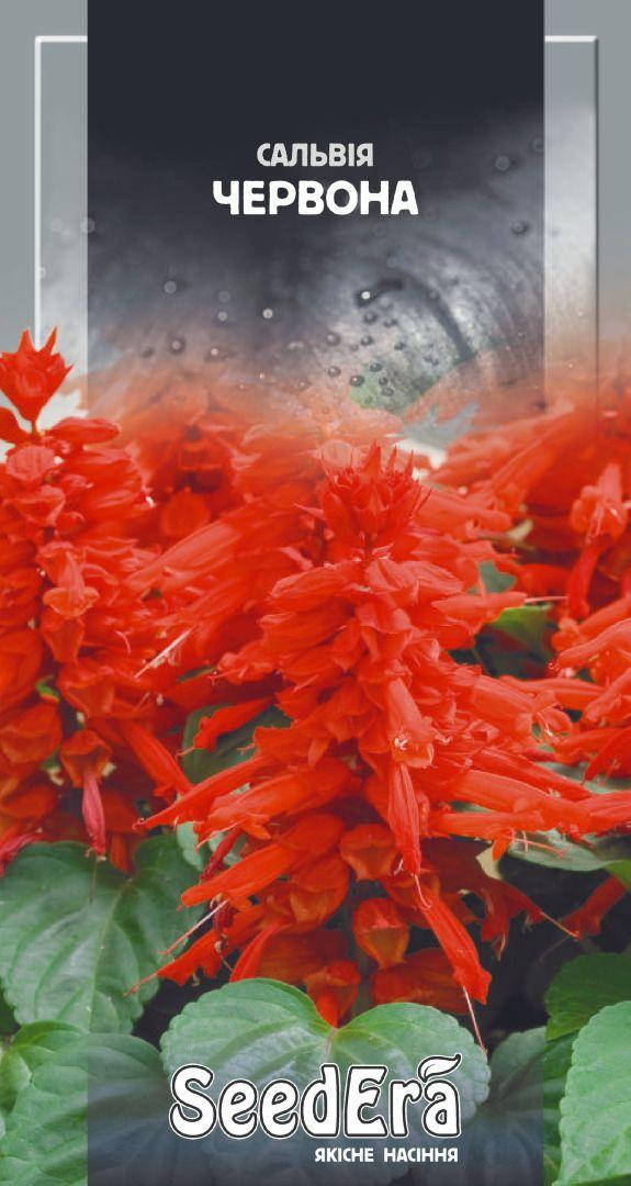 

Семена Сальвия блестящая красная, 0,1г, Seedera