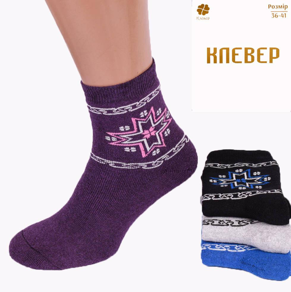 

Носки женские махровые Клевер BM61. Упаковка 12 пар. 36-41